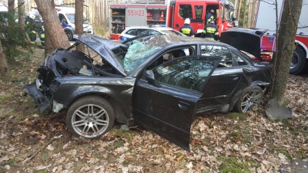 Audi roztrzaskane na drzewie